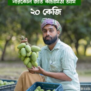 ২০ কেজি নারকেলি জাত কাঁচা মিঠা আম