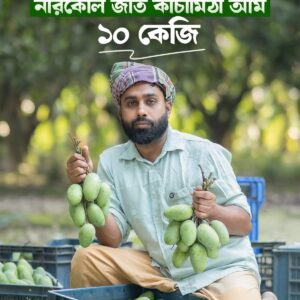 ১০ কেজি নারকেলি জাত কাঁচা মিঠা আম